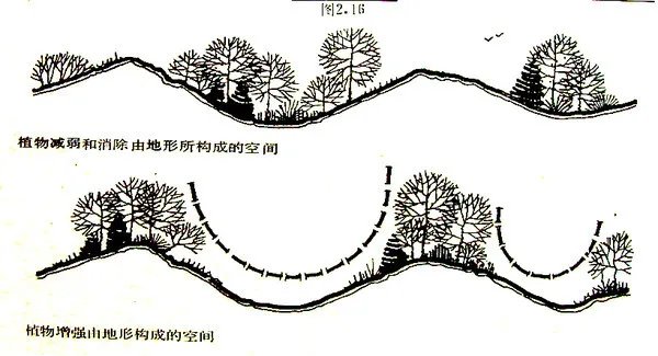 干货 | 庭院植物打造,营造十足空间感