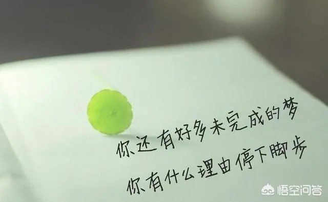 有哪些2018致自己的经典语录?