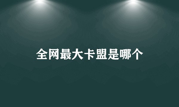 全网最大卡盟是哪个