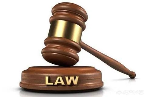 大家认为高俊芳的老公和儿子会判刑吗?