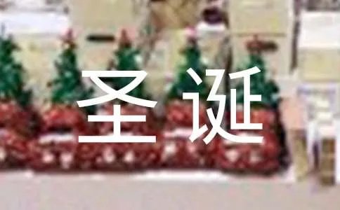圣诞节作文