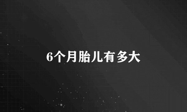 6个月胎儿有多大