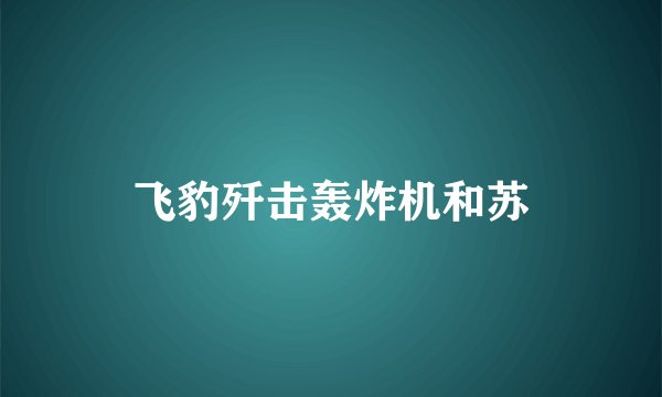 飞豹歼击轰炸机和苏