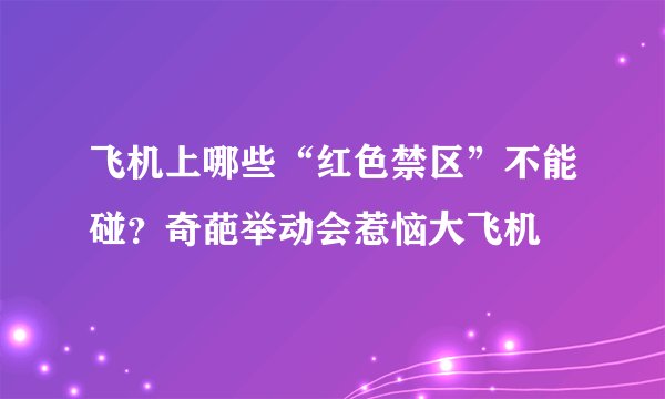 飞机上哪些“红色禁区”不能碰？奇葩举动会惹恼大飞机