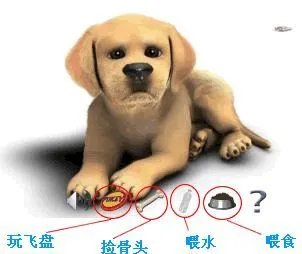 怎样玩4399狗狗