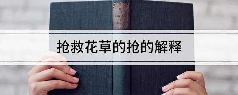 抢救花草的抢的解释