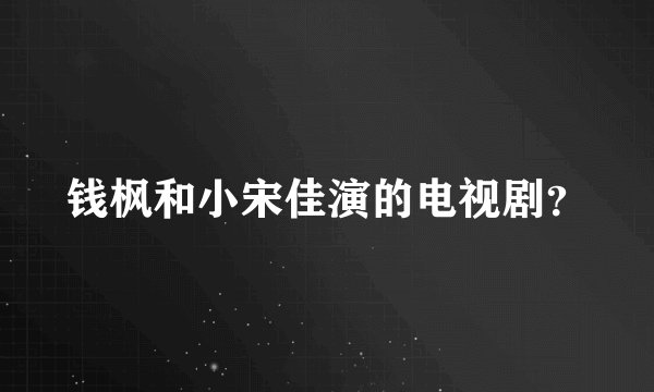 钱枫和小宋佳演的电视剧？