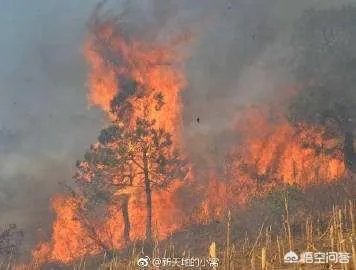 凉山木里火场又复燃了,是什么原因造成的?