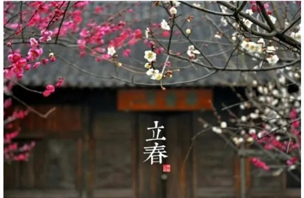 2019年打春时间