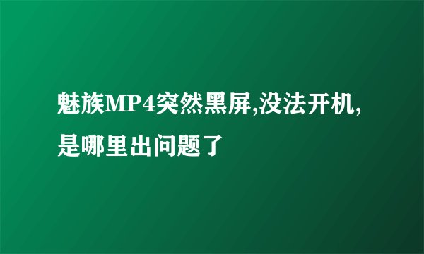 魅族MP4突然黑屏,没法开机,是哪里出问题了