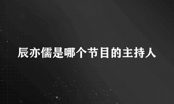 辰亦儒是哪个节目的主持人