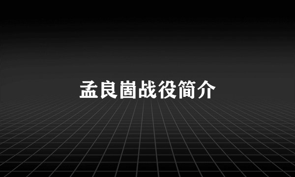 孟良崮战役简介