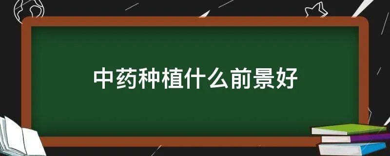 中药种植什么前景好