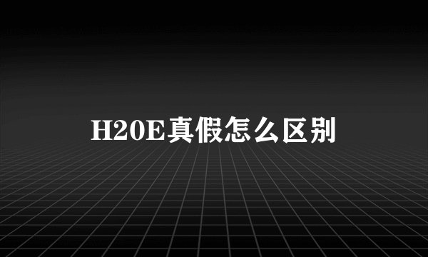 H20E真假怎么区别