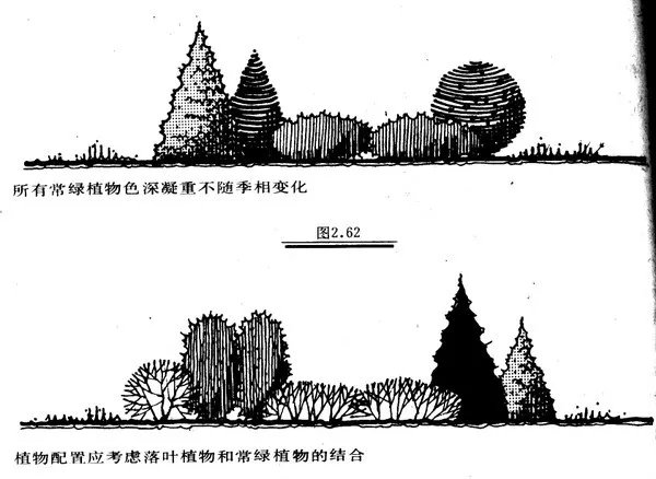 干货 | 庭院植物打造,营造十足空间感