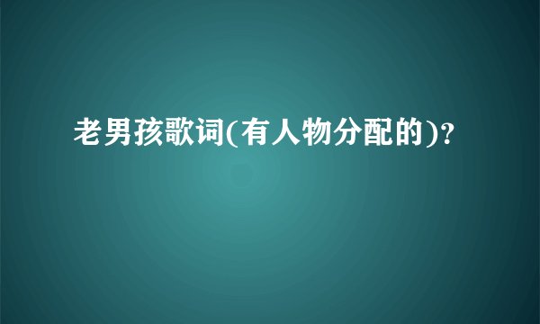 老男孩歌词(有人物分配的)？