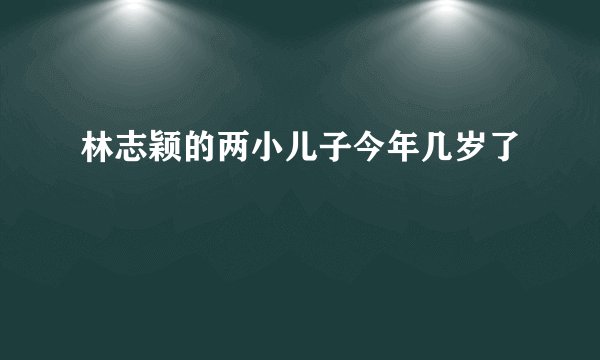 林志颖的两小儿子今年几岁了