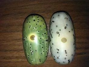 千眼菩提子打磨到什么程度算好