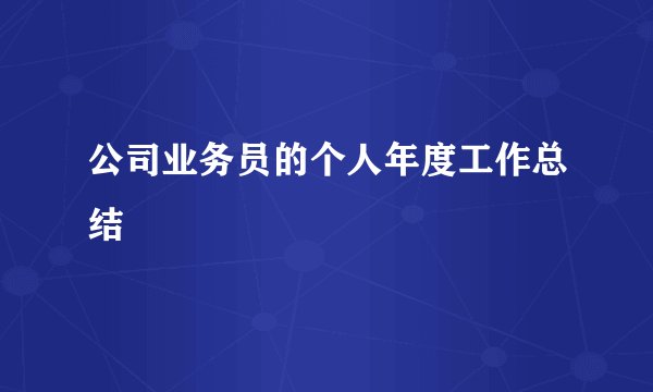 公司业务员的个人年度工作总结