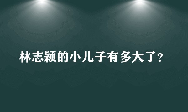 林志颖的小儿子有多大了？
