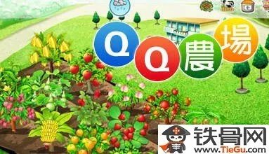 QQ农场赚钱攻略