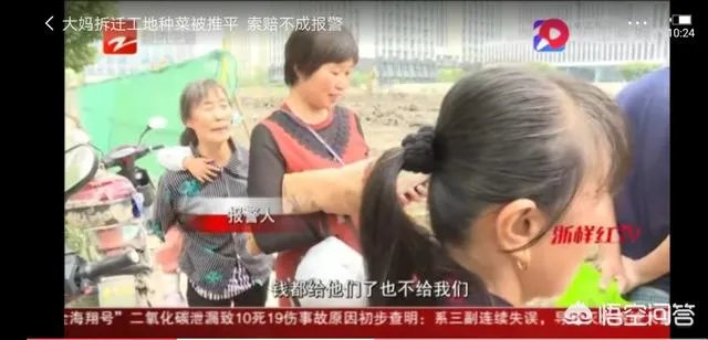 拆迁征地上种菜被推平,大妈报警维权要求赔偿被拒绝,怎么办?