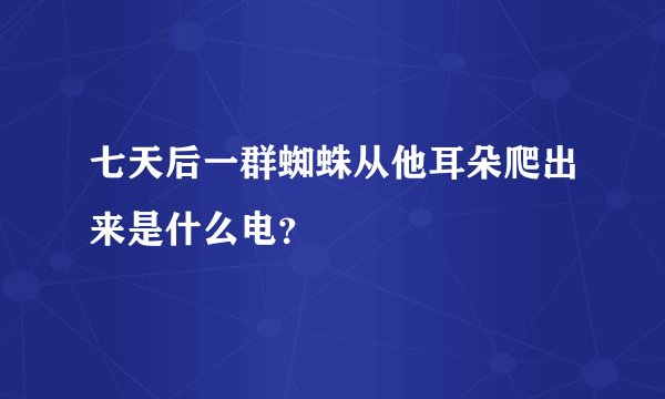 七天后一群蜘蛛从他耳朵爬出来是什么电？