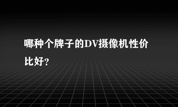 哪种个牌子的DV摄像机性价比好？