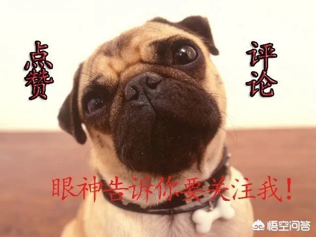 如何看待许昕3:0完胜费格尔?