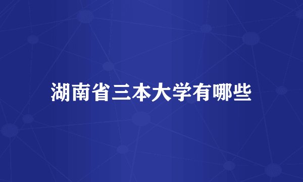 湖南省三本大学有哪些