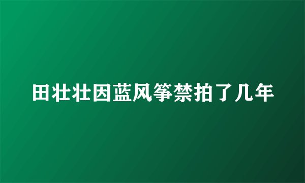 田壮壮因蓝风筝禁拍了几年