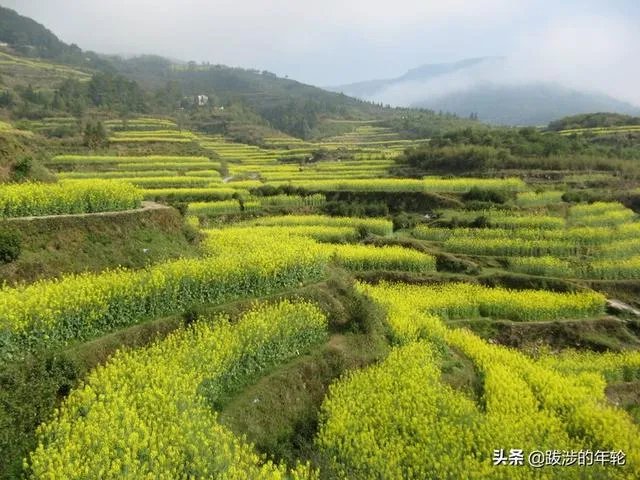 请问上海周边100公里左右自驾游有哪些景点推荐？