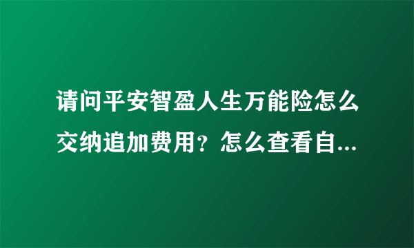 请问平安智盈人生万能险怎么交纳追加费用？怎么查看自己的账单，每年扣除的费用是多少？