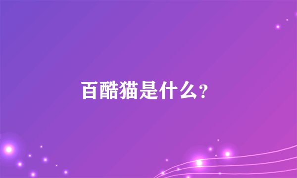 百酷猫是什么？