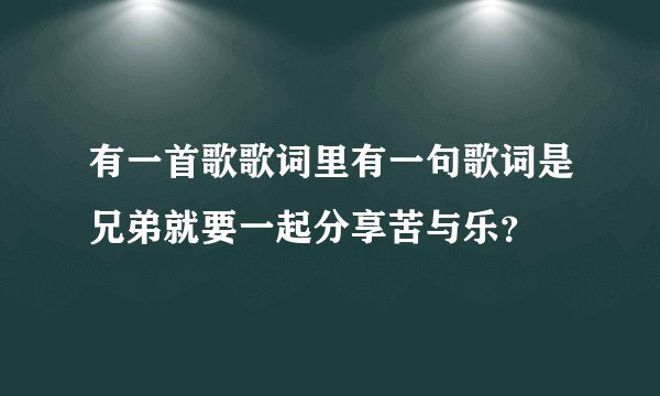 有一首歌歌词里有一句歌词是兄弟就要一起分享苦与乐？