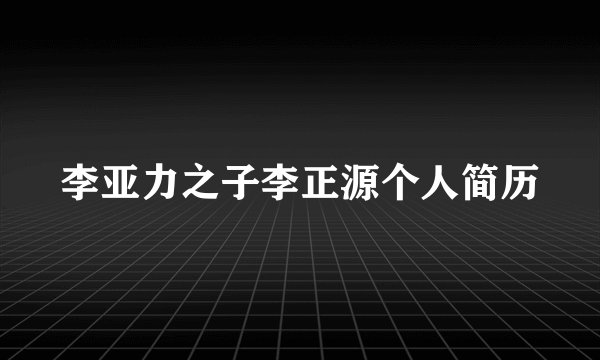 李亚力之子李正源个人简历