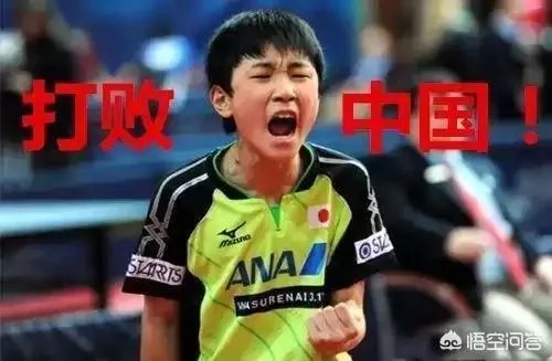华裔兄妹虎视眈眈,欲来华参加乒超联赛,偷师学艺遭拒绝。你怎么看?