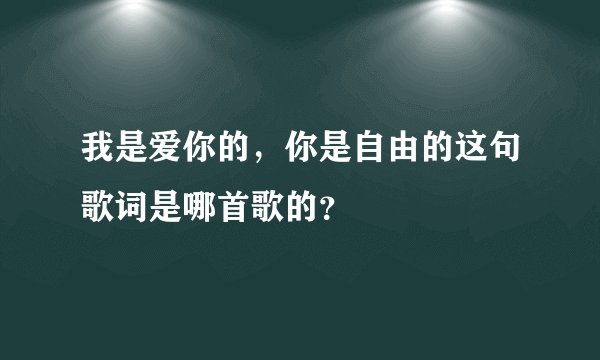 我是爱你的，你是自由的这句歌词是哪首歌的？