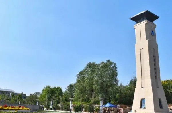 在山东省,排名前15的大学分别是哪些?