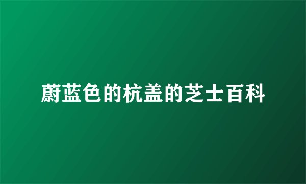 蔚蓝色的杭盖的芝士百科