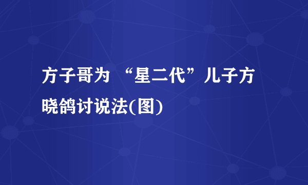 方子哥为 “星二代”儿子方晓鸽讨说法(图)