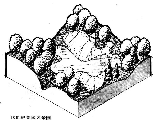 干货 | 庭院植物打造,营造十足空间感