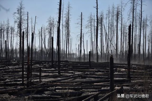 怎么看待乌克兰切尔诺贝利禁区森林大火?