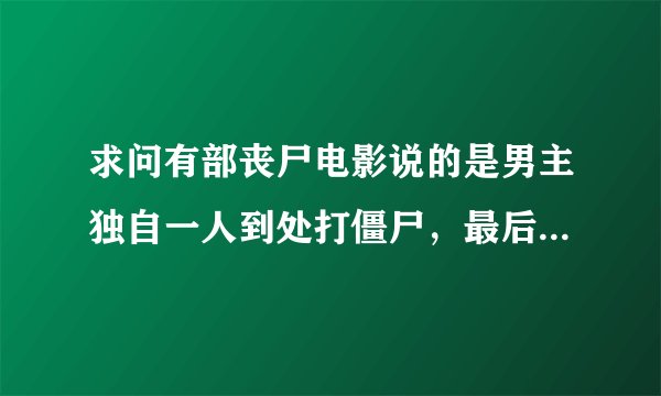 求问有部丧尸电影说的是男主独自一人到处打僵尸，最后碰到一群人，好像丧尸里面还有个领头人物？