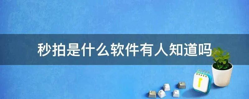 秒拍是什么软件有人知道吗