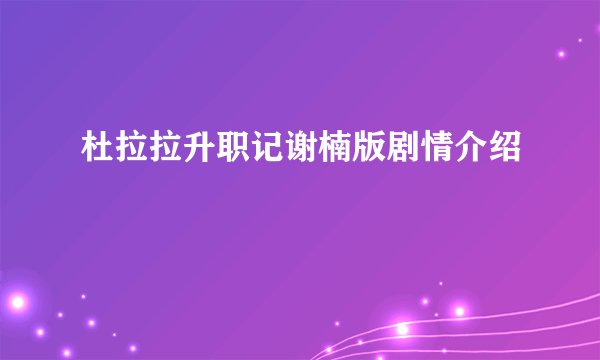 杜拉拉升职记谢楠版剧情介绍