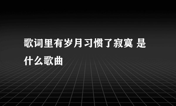 歌词里有岁月习惯了寂寞 是什么歌曲
