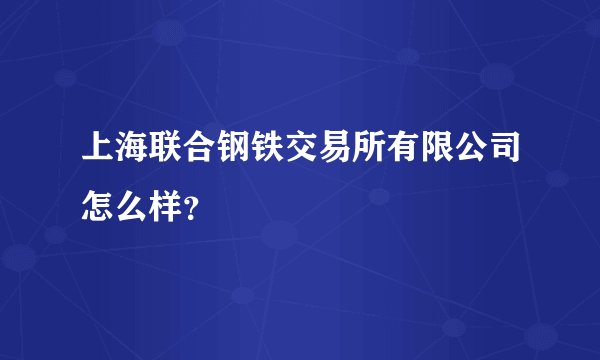 上海联合钢铁交易所有限公司怎么样？