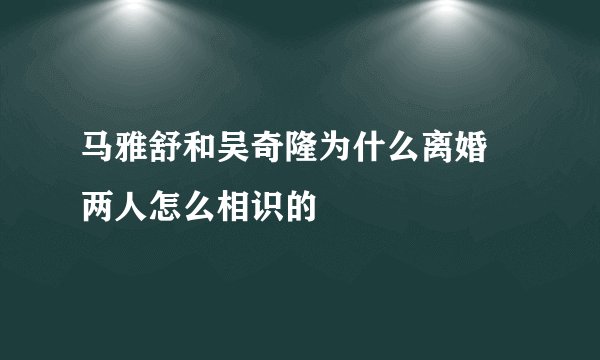 马雅舒和吴奇隆为什么离婚 两人怎么相识的