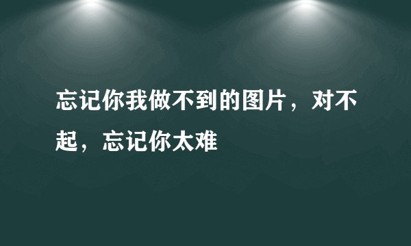 忘记你我做不到的图片，对不起，忘记你太难